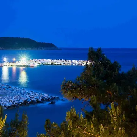 Studios Nautilus Potos