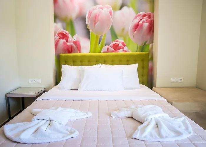 Apartamento Nautilus Potos